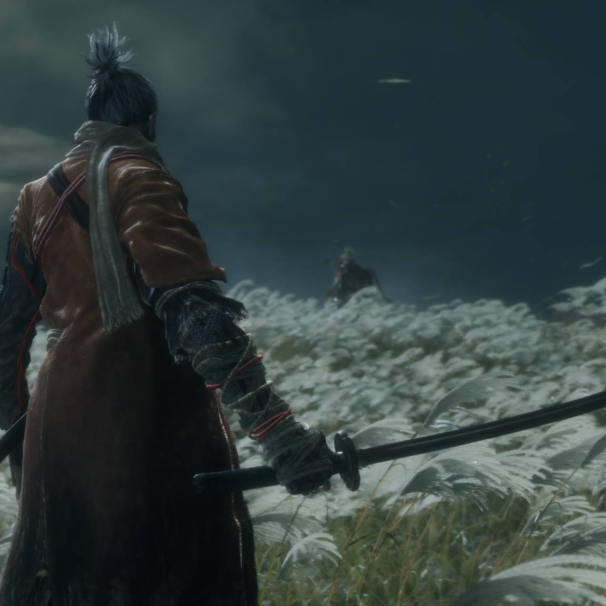 Sekiro: Shadows Die Twice review - FromSoftware at its most unapologetic